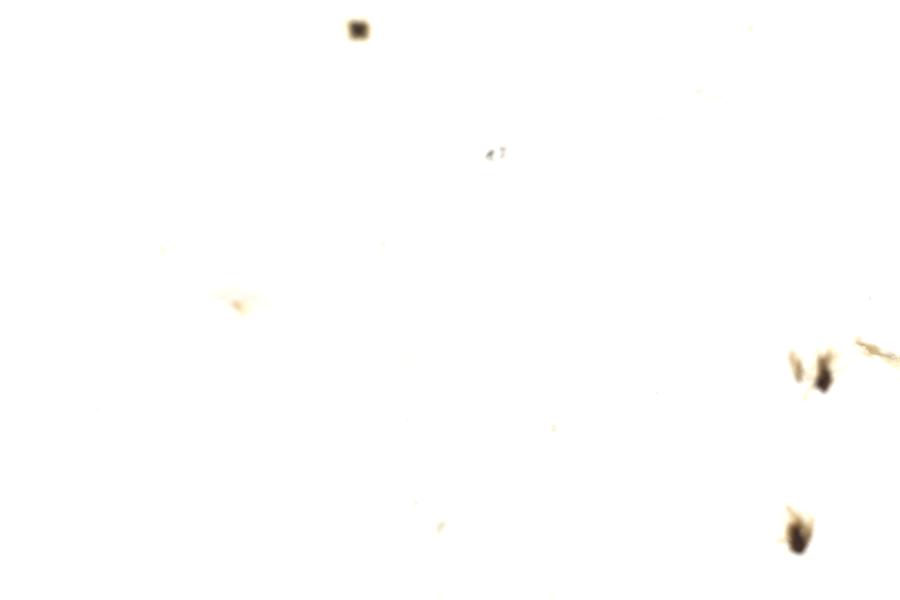 Image 89